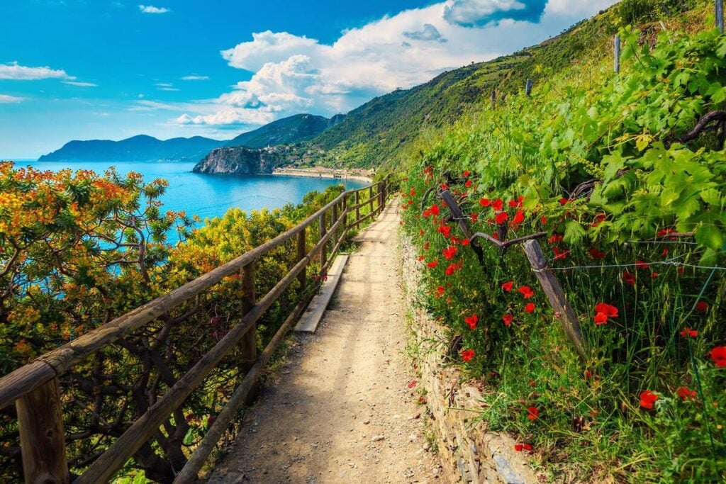 Parque Natural de Cinque Terre (Itália)