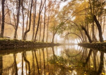 trilhos da Serra da Estrela
