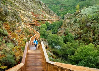 Passadiços do Mondego