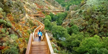Passadiços do Mondego