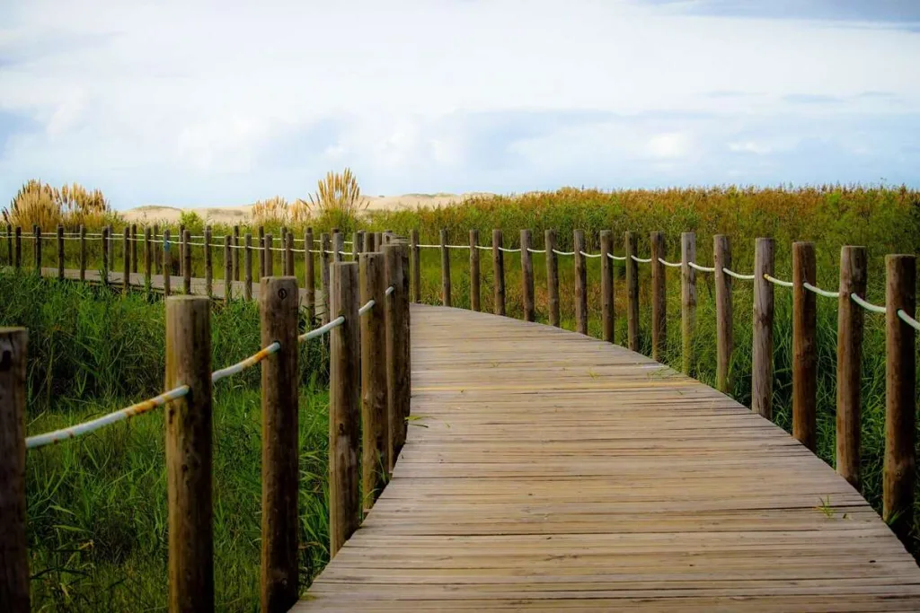 Passadiços de Aveiro