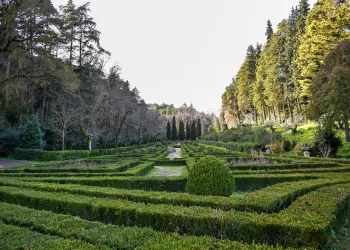 Mata dos Sete Montes