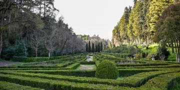 Mata dos Sete Montes