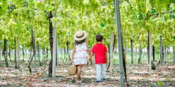 Herdade do Vale da Rosa