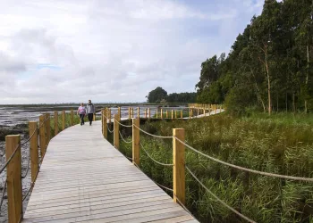 Passadiços de Aveiro