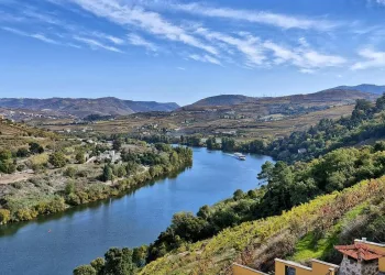 Trilho do Vinho do Porto