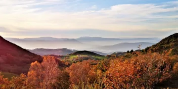 Trilho Moinhos do Ave