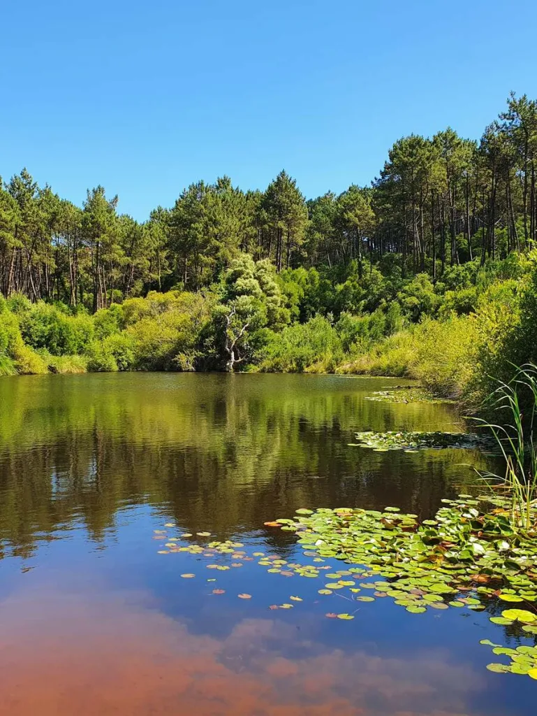 Lagoa Azul de Sintra