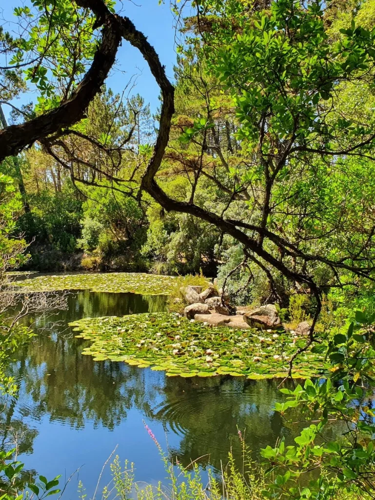 Lagoa Azul de Sintra