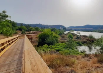 Passadiços de Ortiga