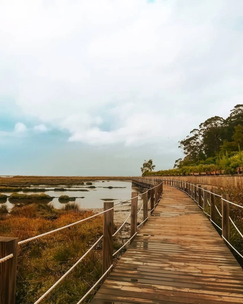 Passadiços de Aveiro