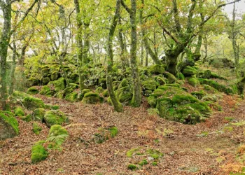 Aldeia Velha do Juriz