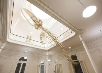 Museus para crianças no Porto