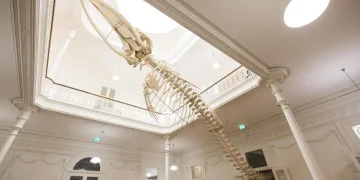 Museus para crianças no Porto