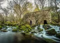 Rio Ocreza