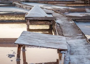 Salinas da Fonte da Bica