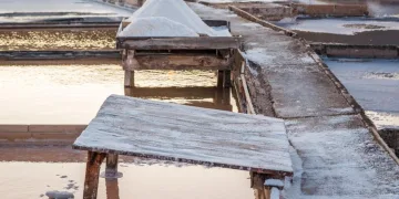 Salinas da Fonte da Bica