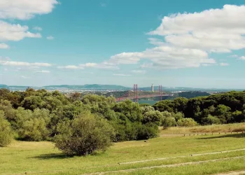 Parque Florestal de Monsanto