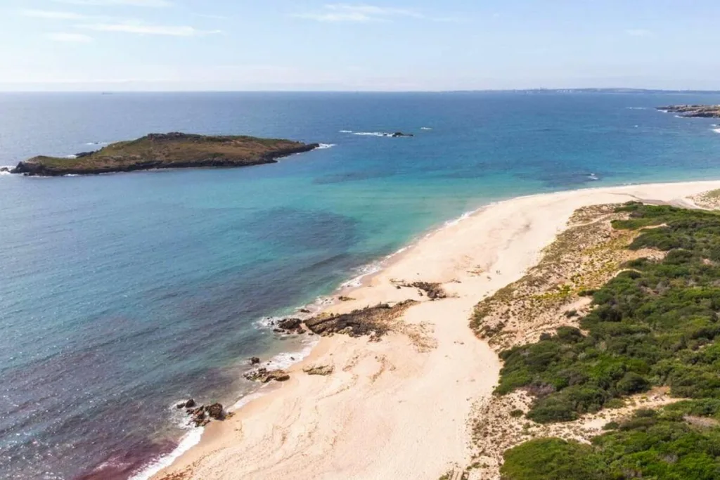 Ilha do Pessegueiro