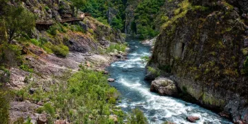 Rio Paiva