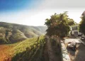 Quinta Nova de Nossa Senhora do Carmo (Covas do Douro)