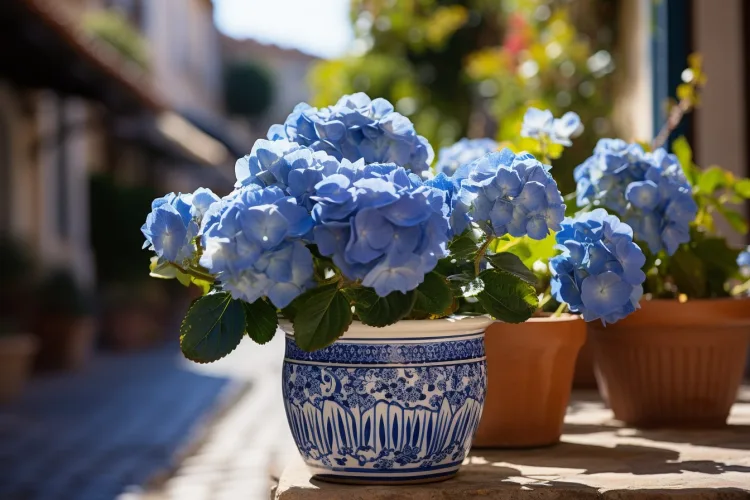 plantas com flores azuis
