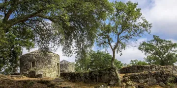 Citânia de Briteiros