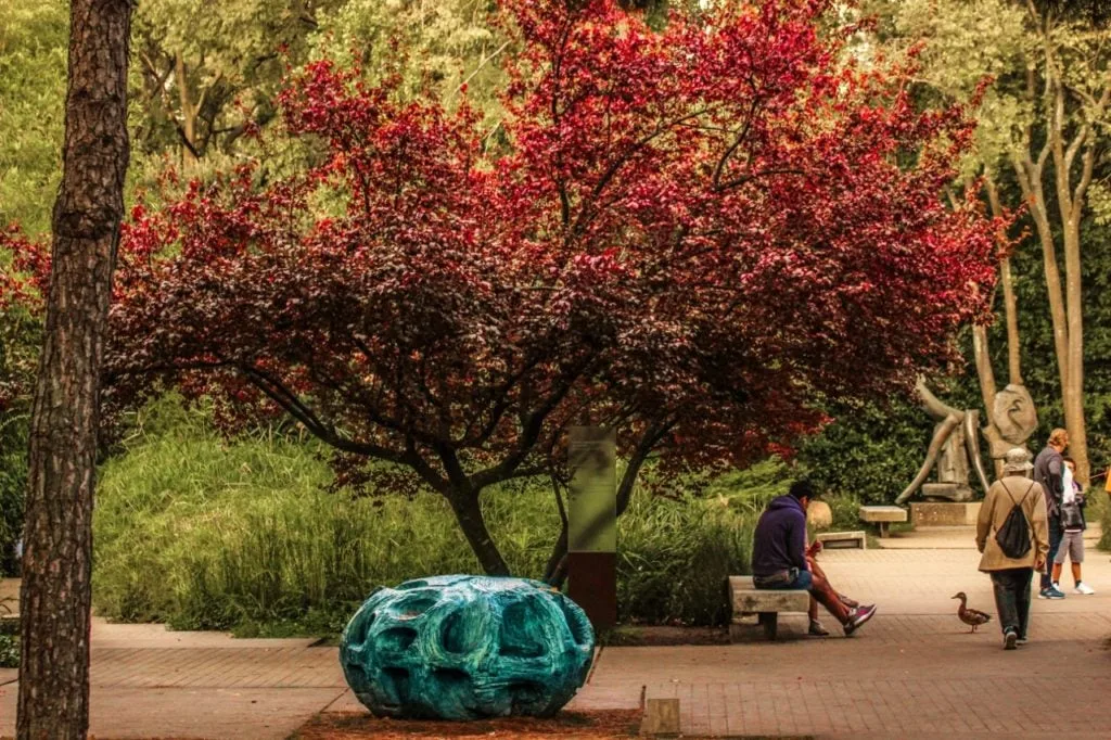 Jardim da Fundação Gulbenkian