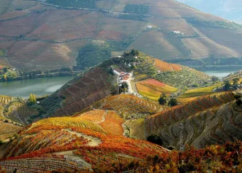 quintas no rio douro