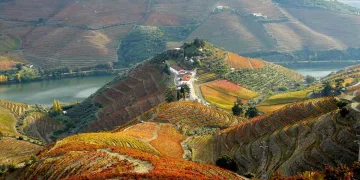 quintas no rio douro
