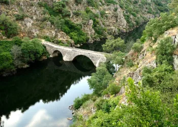 Ponte de Pedrógão
