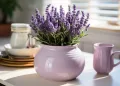 Plantas para cozinhas modernas