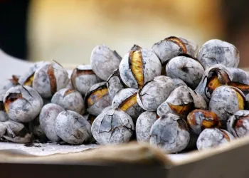 Castanhas assadas no microondas