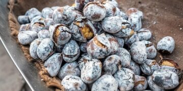 Castanhas assadas no forno