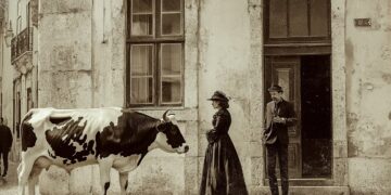 vacaria em lisboa