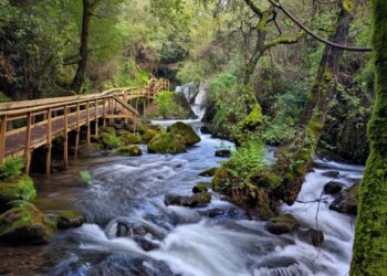 Passadiços de Pindelo