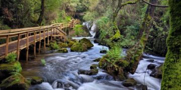 Passadiços de Pindelo