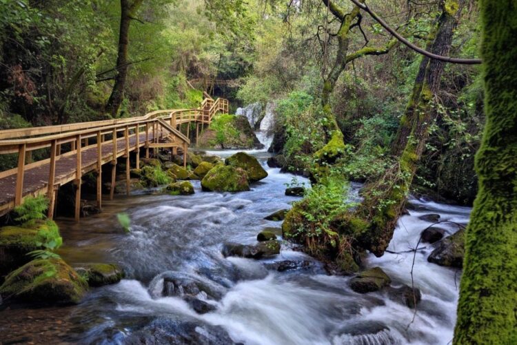 Passadiços de Pindelo