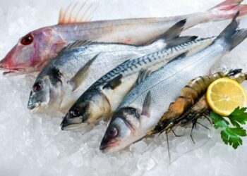 Alerta europeu: peixe perigoso que continua à venda em Portugal apesar de estar proibido noutros países
