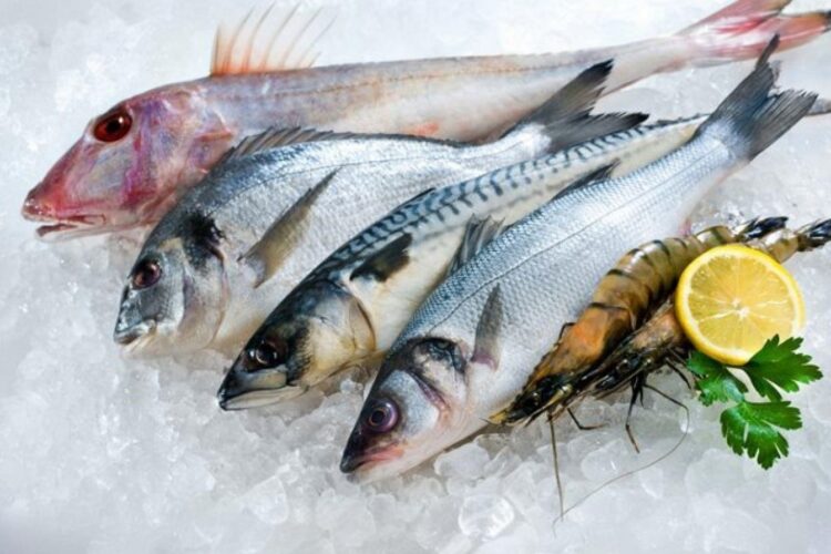 Alerta europeu: peixe perigoso que continua à venda em Portugal apesar de estar proibido noutros países