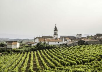 Favaios: uma das aldeias mais típicas e bonitas do Douro