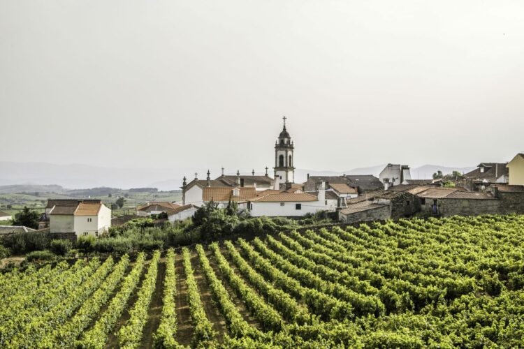 Favaios: uma das aldeias mais típicas e bonitas do Douro