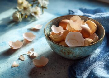 Deita fora as cascas de ovo? Descubra o que pode fazer com elas e não as desperdice
