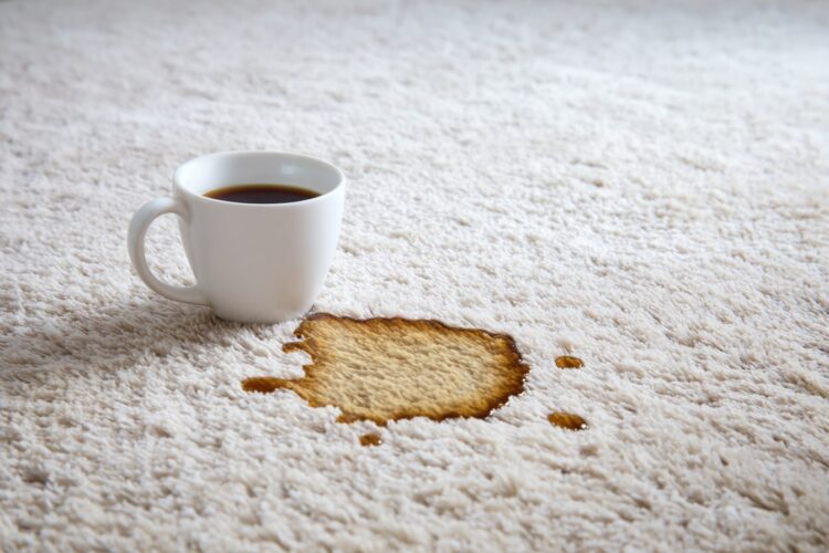 Tapetes, alcatifas ou carpetes com manchas? Aprenda a limpar tudo de forma simples e eficaz