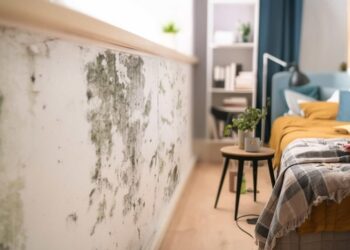 Paredes com humidade? Descubra como resolver o problema de forma duradoura