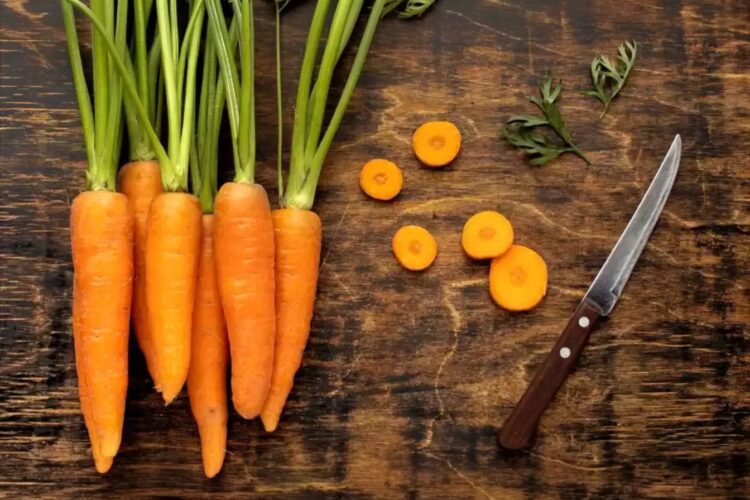 Como evitar que as cenouras fiquem murchas e manchadas
