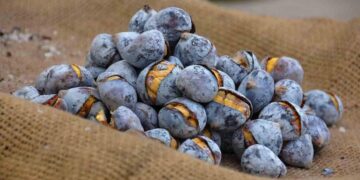 No forno, no tacho ou no micro-ondas: 3 formas simples de assar castanhas em casa