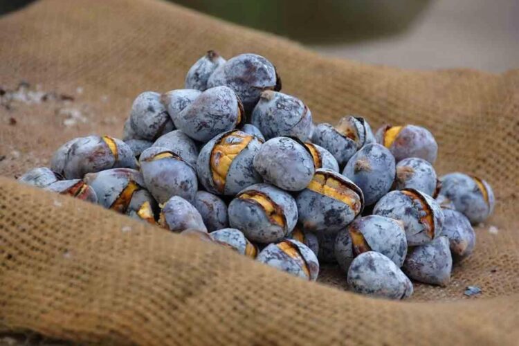 No forno, no tacho ou no micro-ondas: 3 formas simples de assar castanhas em casa