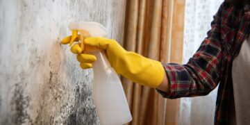Bolor nas paredes: limpá-lo é mais fácil do que parece com estas técnicas simples