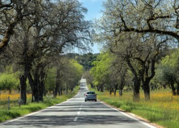 Portugal no TOP10 dos países europeus onde é mais fácil conduzir